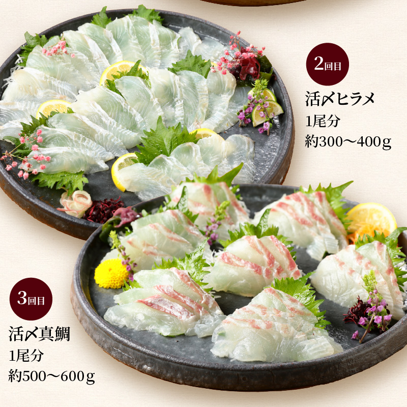 【お楽しみ定期便】延岡産活〆鮮魚の豪華お刺身 12ヶ月定期便 着日指定 鮮魚 豪華柵 国産 刺身 新鮮 ヒラメ 真鯛 カンパチ ブリ 漬け丼 マグロ サーモン メヒカリ はまち 季節 魚 湯引き 旬 鮮魚 海鮮 魚介類 冷蔵 九州 グルメ 送料無料 N019-YYG0191