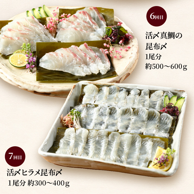 【お楽しみ定期便】延岡産活〆鮮魚の豪華お刺身 12ヶ月定期便 着日指定 鮮魚 豪華柵 国産 刺身 新鮮 ヒラメ 真鯛 カンパチ ブリ 漬け丼 マグロ サーモン メヒカリ はまち 季節 魚 湯引き 旬 鮮魚 海鮮 魚介類 冷蔵 九州 グルメ 送料無料 N019-YYG0191