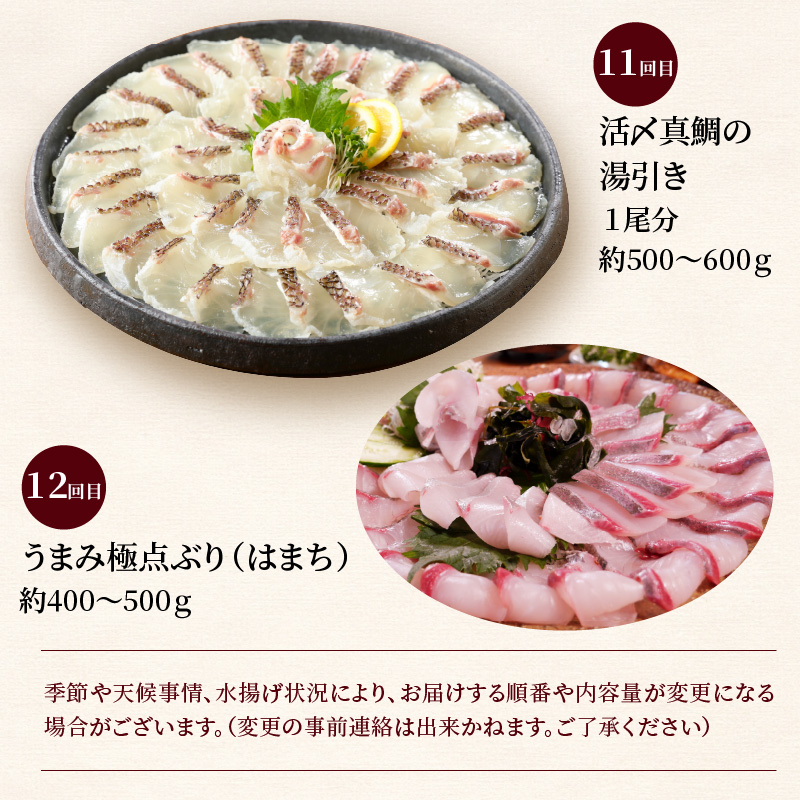 【お楽しみ定期便】延岡産活〆鮮魚の豪華お刺身 12ヶ月定期便 着日指定 鮮魚 豪華柵 国産 刺身 新鮮 ヒラメ 真鯛 カンパチ ブリ 漬け丼 マグロ サーモン メヒカリ はまち 季節 魚 湯引き 旬 鮮魚 海鮮 魚介類 冷蔵 九州 グルメ 送料無料 N019-YYG0191