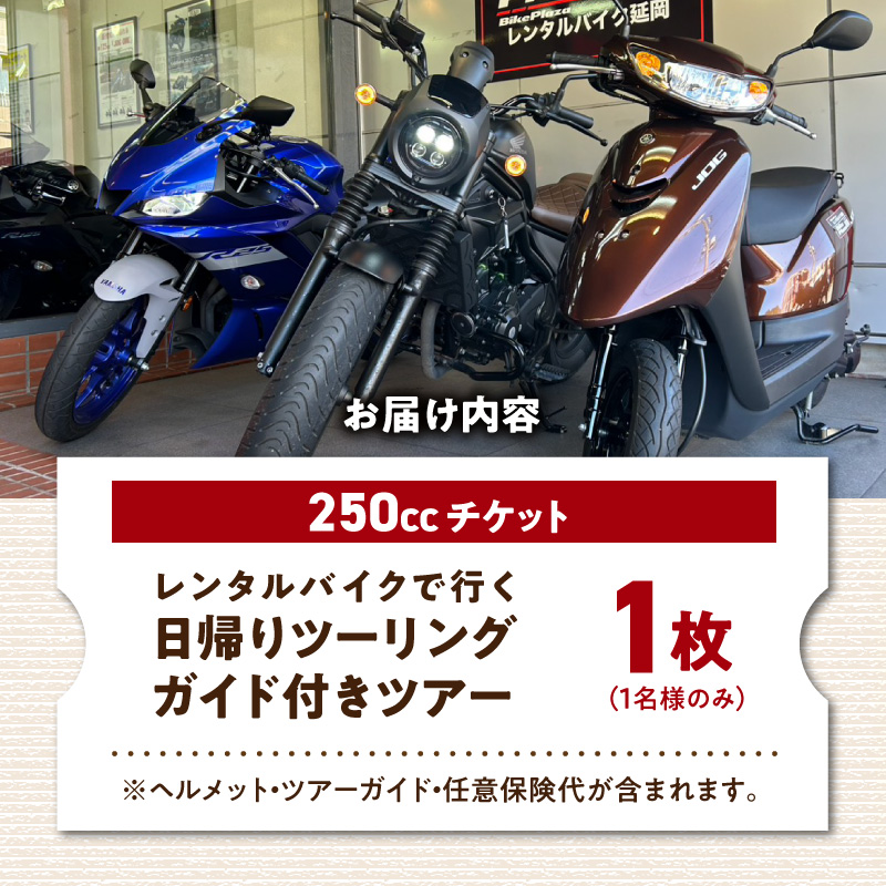 レンタルバイク（250cc）でガイド付き日帰りツーリングツアー N0215-YG0253