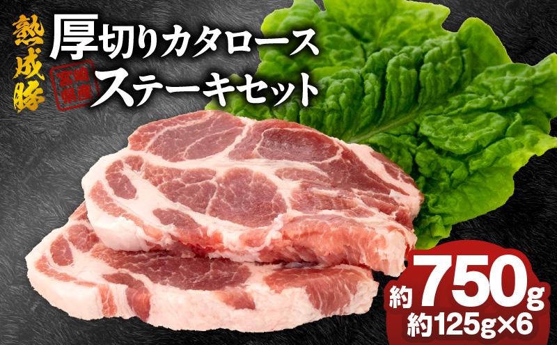 宮崎県産熟成豚 厚切りカタロースステーキセット 約125g×6個 N0105-YA699
