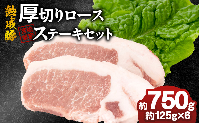 宮崎県産熟成豚 厚切りロースステーキセット 約125g×6個 N0105-YA6601