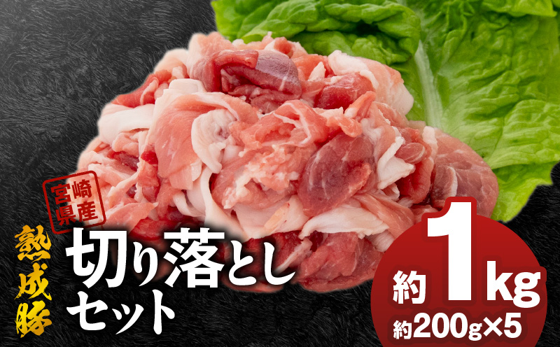宮崎県産熟成豚 切り落としセット 約200g×5個 N0105-YA2280