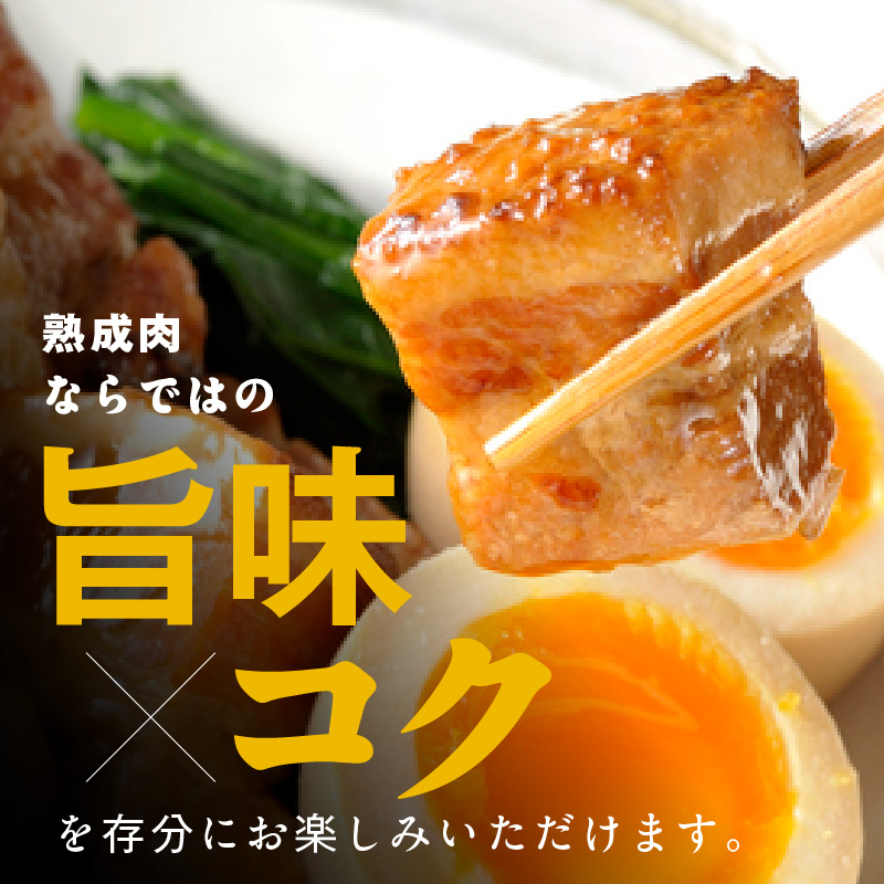 宮崎県産熟成豚 バラブロックセット 約500g×1個 N0105-YA2281