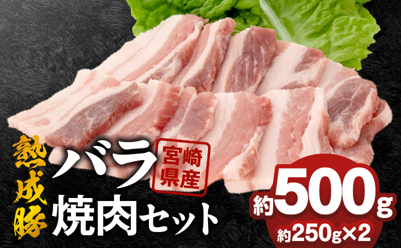 螳ョ蟠守恁逕」辭滓占ア 繝舌Λ辟シ閧峨そ繝繝 邏250gテ2蛟 N0105-YA2282