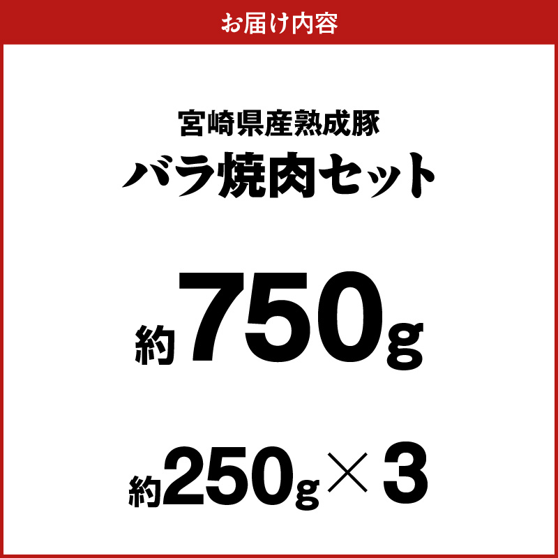 螳ョ蟠守恁逕」辭滓占ア 繝舌Λ辟シ閧峨そ繝繝 邏250gテ3蛟 N0105-YA6605
