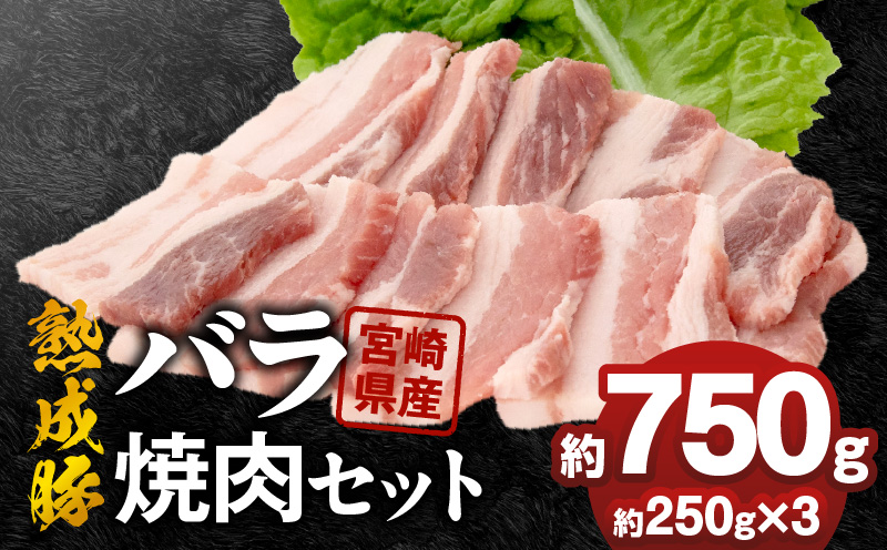 螳ョ蟠守恁逕」辭滓占ア 繝舌Λ辟シ閧峨そ繝繝 邏250gテ3蛟 N0105-YA6605