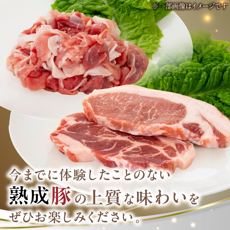 螳ョ蟠守恁逕」辭滓占ア 繧医¥縺ー繧3遞ョ繧サ繝繝B-1シ医せ繝繝シ繧ュ2遞ョ 蜷1蛟/蛻繧願誠縺ィ縺2蛟具シ丑0105-YA2285