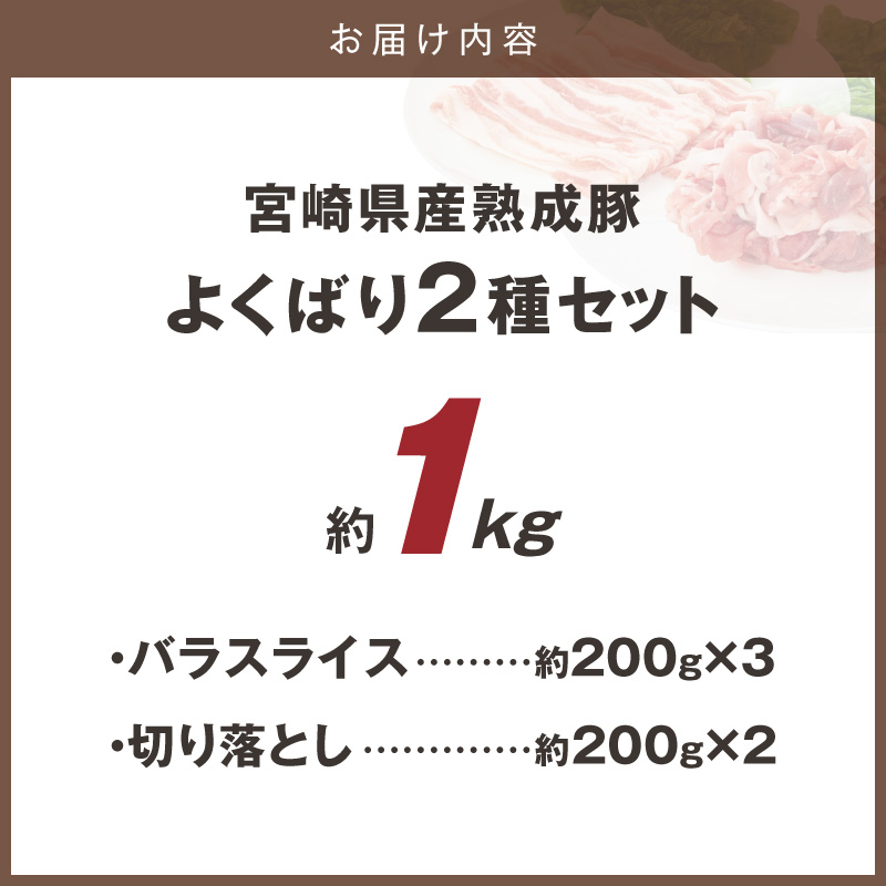 宮崎県産熟成豚 よくばり2種セットB（バラスライス3個/切り落とし2個）N0105-YA6609