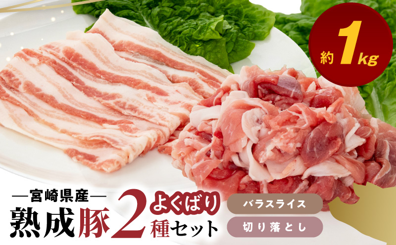 宮崎県産熟成豚 よくばり2種セットB（バラスライス3個/切り落とし2個）N0105-YA6609
