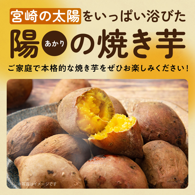 縲仙郁。御コ育エ縲2026蟷エ10譛医h繧企谺。逋コ騾髢句ァ 縺翫d縺、闃九≠縺セ縺ッ縺・縺 3蛟句・繧甘8陲 N0152-YA0516