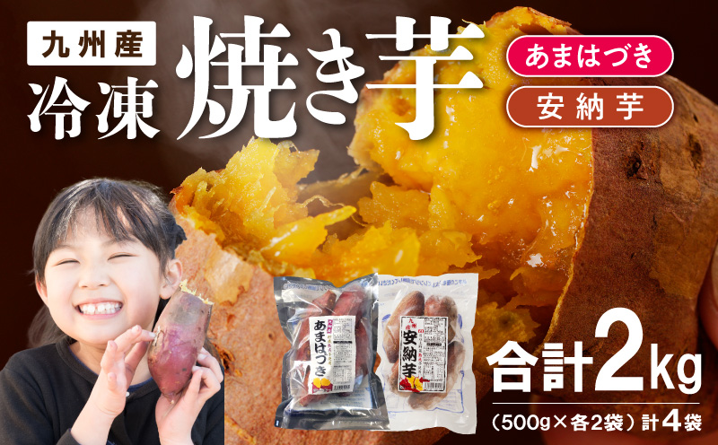 【先行予約】2026年10月より順次発送開始 あまはづき、安納芋焼き芋食べ比べセット N0152-YA1113