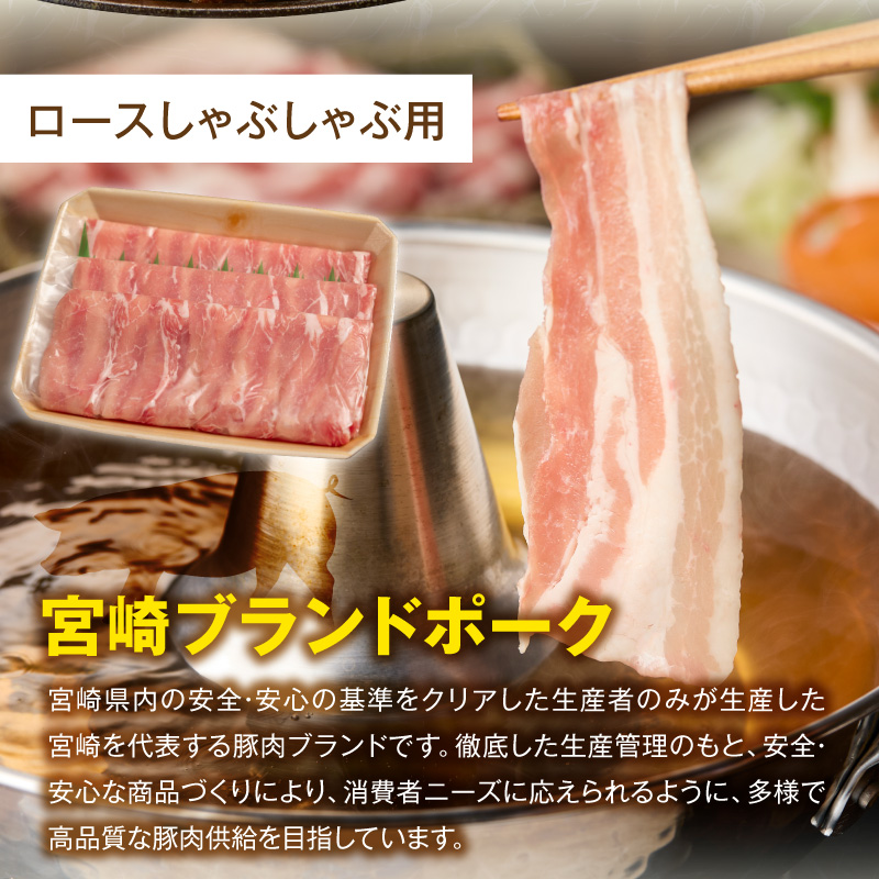 螳ョ蟠守恁逕」 雎夊i 4遞ョ逶帙j蜷医o縺 N0217-YA6614