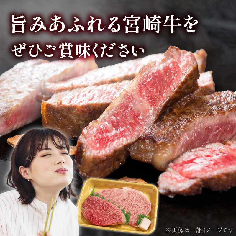 宮崎牛サーロイン モモステーキセット N0217-YB1112