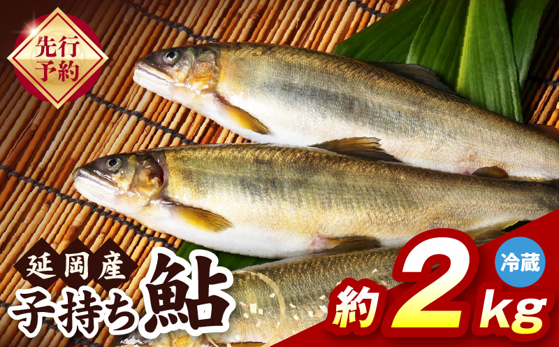 【先行予約】2026年10月下旬より発送開始【冷蔵】子持ち鮎約2kg N070-YB728-1