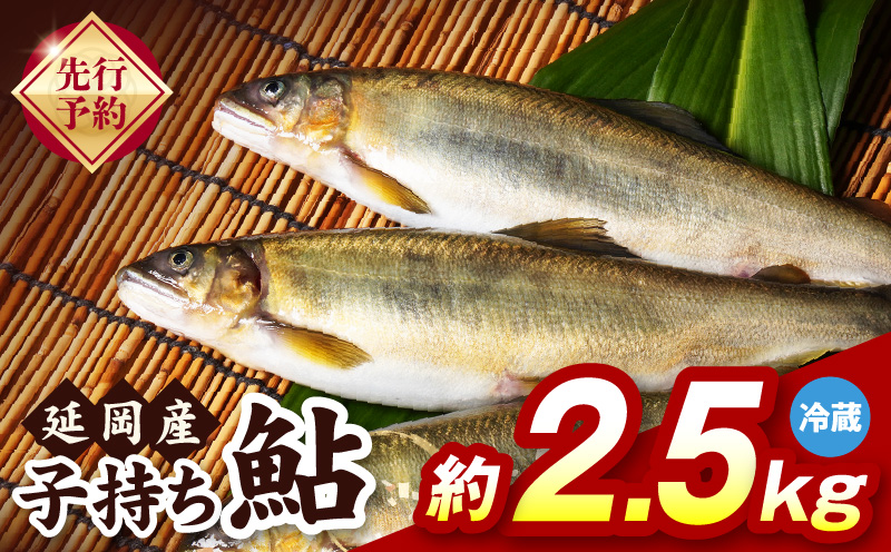 【先行予約】2026年10月下旬より発送開始【冷蔵】子持ち鮎約2.5kg N070-YC425-1