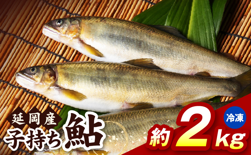 【冷凍】子持ち鮎約2kg N070-YB728-2