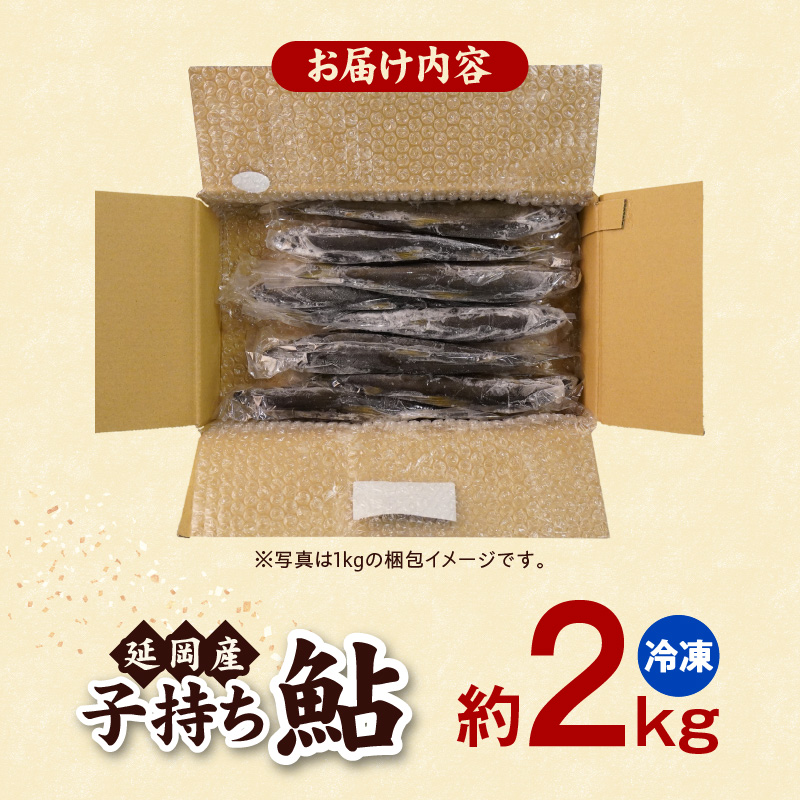 ãå·åãåæã¡é®çŽ2kg N070-YB728-2