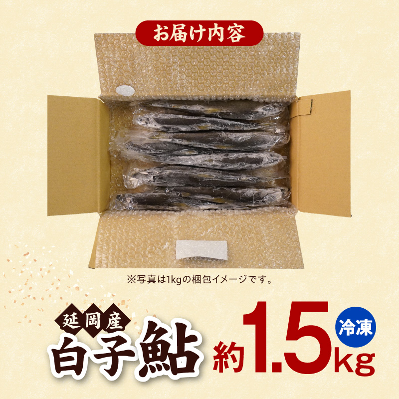 【冷凍】白子鮎約1.5kg N070-YA865-2