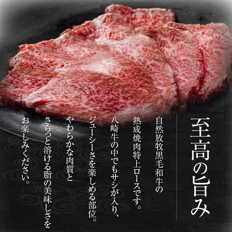 八崎牛の熟成焼肉 特上ロース 約80g×4個 N0105-YB443