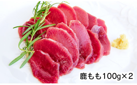 ジビエ革命〜究極のジビエ　鹿肉セット　N028-ZA509