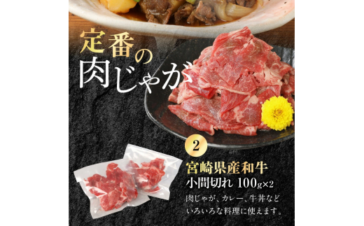 宮崎牛 ロース ステーキ 250g×2 宮崎県産和牛小間切れ 100g×2 計700g　N0147‐B813