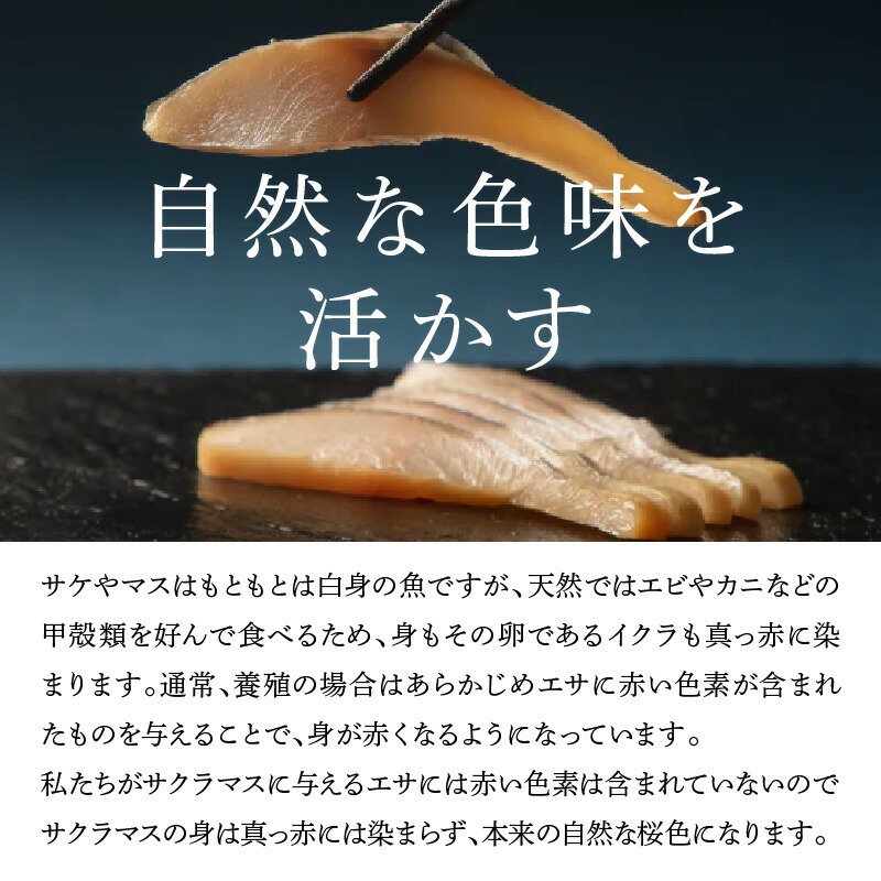 譛ャ譯憺ア偵せ繝「繝シ繧ッ繧オ繝シ繝「繝ウ3遞ョ鬟溘∋豈斐∋繧サ繝繝 N0116-YA3363