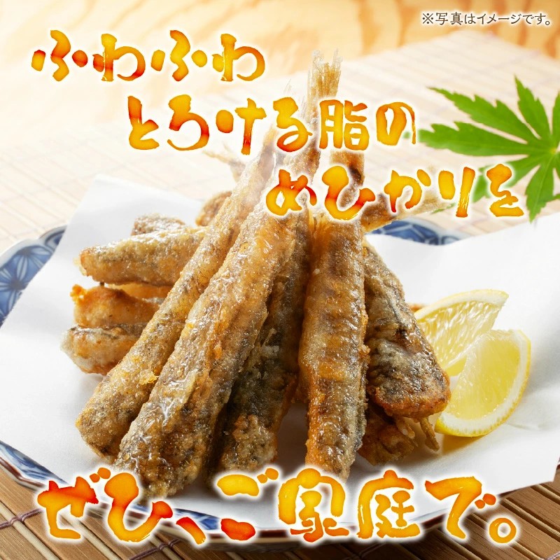 延岡産めひかり無頭中サイズ500g×2袋 N0184-YA2267