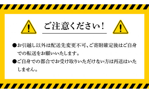 延岡産活〆真鯛とシマアジの豪華お刺身セット　N019-ZC804　請関水産