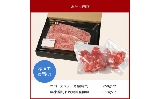 宮崎牛 ロース ステーキ 250g×2 宮崎県産和牛小間切れ 100g×2 計700g　N0147‐B813