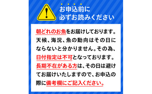 【単月お届け】大和海商　高級お刺身　4人前　冷蔵　N072-A0388_1