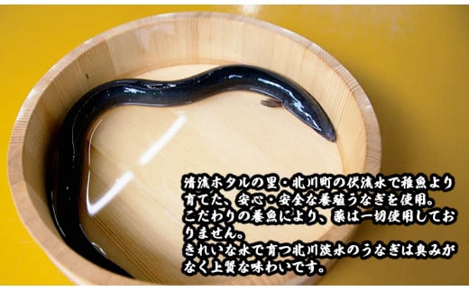 北川鰻の白焼き（2尾）　N010-ZA479