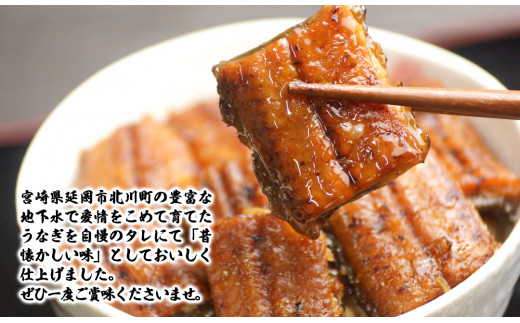 【急速冷凍】北川鰻の白焼きセット　N010-ZC218
