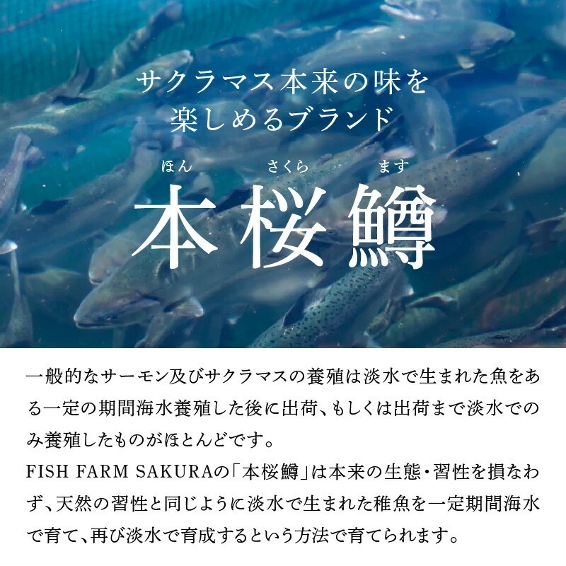 譛ャ譯憺ア偵せ繝「繝シ繧ッ繧オ繝シ繝「繝ウ3遞ョ鬟溘∋豈斐∋繧サ繝繝 N0116-YA3363