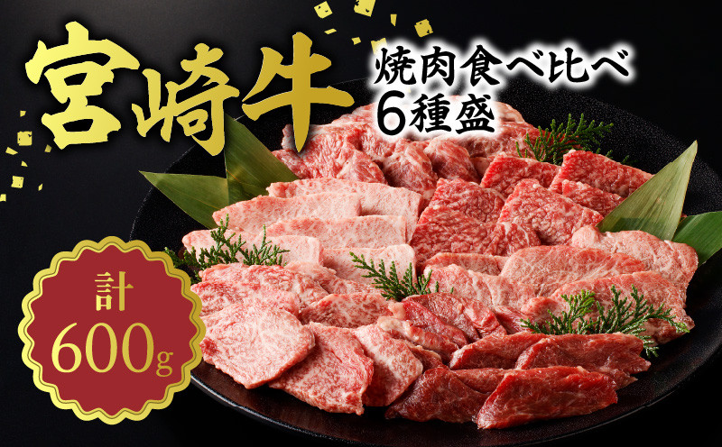 宮崎牛焼肉食べ比べ6種盛600g　N0140-YB328