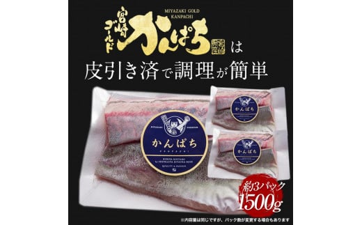 宮崎産 新海屋 鰤屋金太郎 宮崎ゴールドカンパチ 1500g　冷蔵　N018-ZC112_1