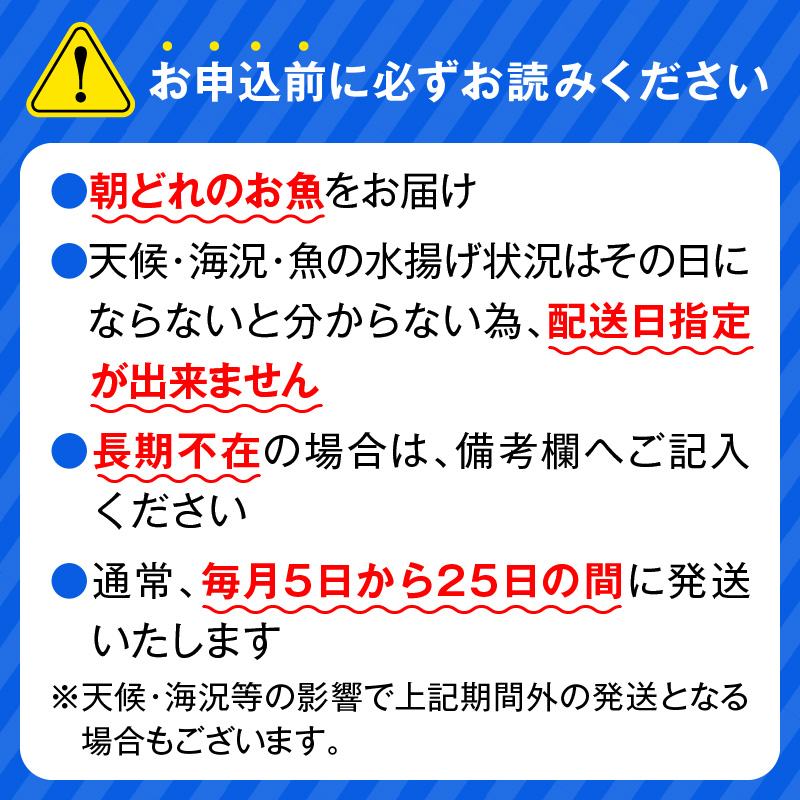 【6ヶ月定期便】大和の高級お刺身4人前 N072-YE081_1