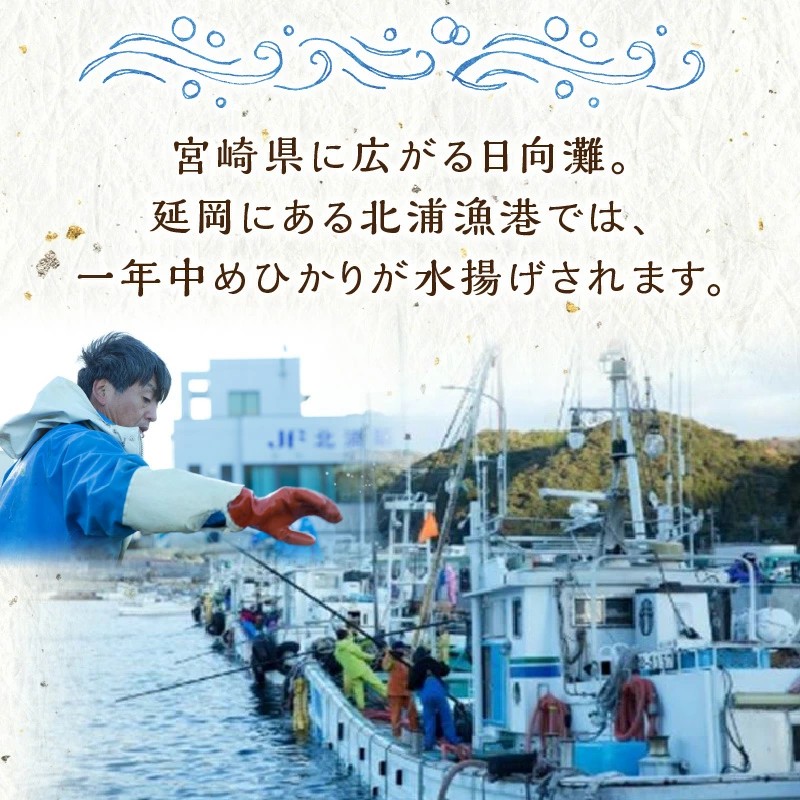 延岡産めひかり無頭中サイズ500g×2袋 N0184-YA2267