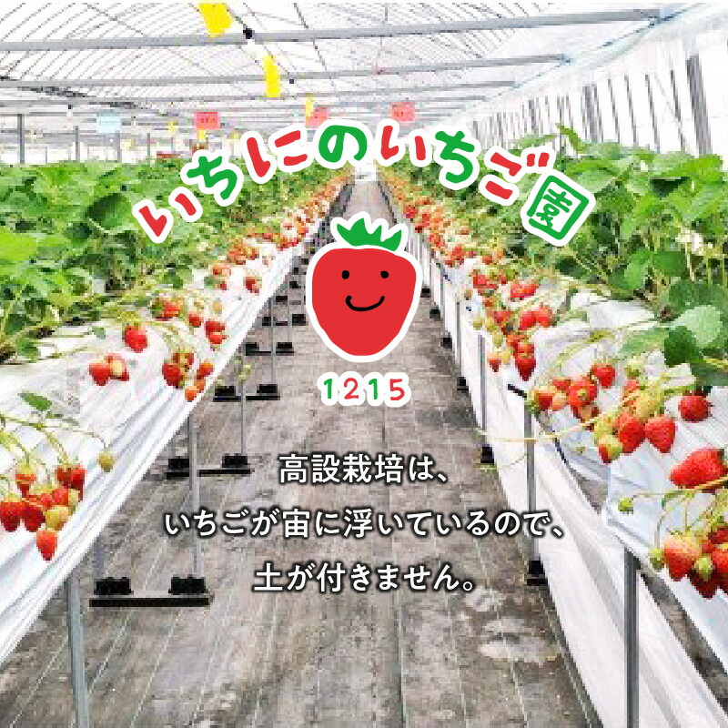 1215VEGESORBETセ搾セ橸スシセ橸スソセ呻セ搾セ4遞ョ鬟溘∋豈斐∋スアスイスススセスッセ N085-YZA733