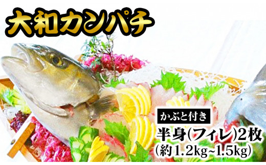 【大和カンパチ】半身（フィレ）約1.2kg〜1.5kg×2枚　かぶと付き　D063