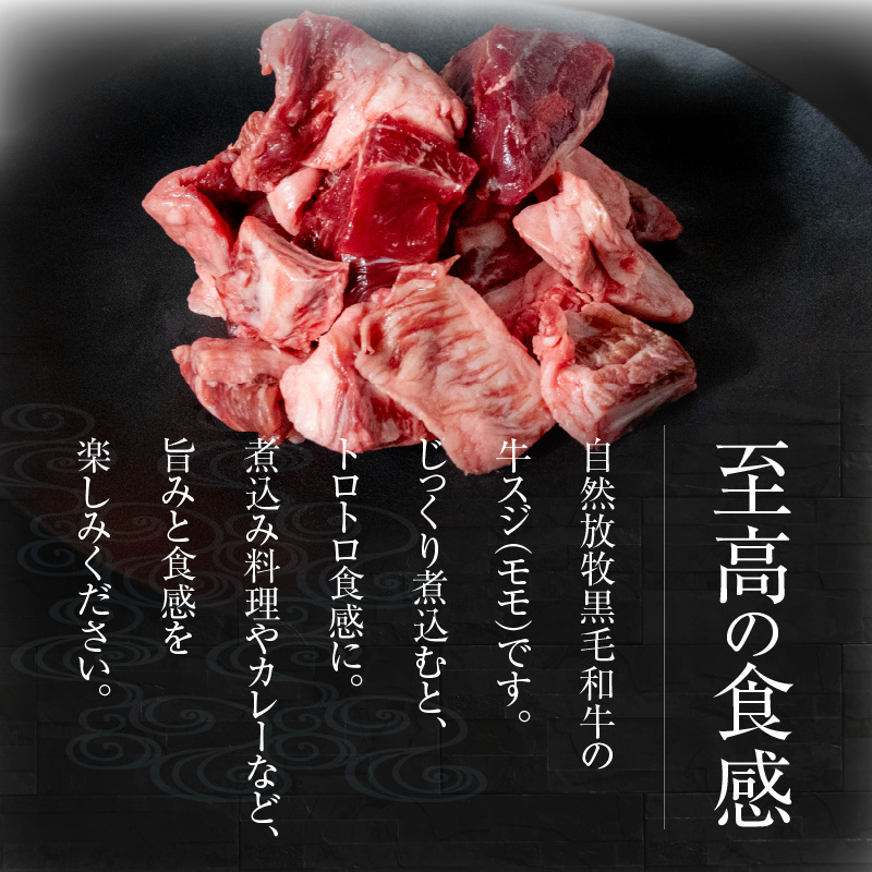 八崎牛の牛スジ(モモスジ)約900g N0105-YA3355