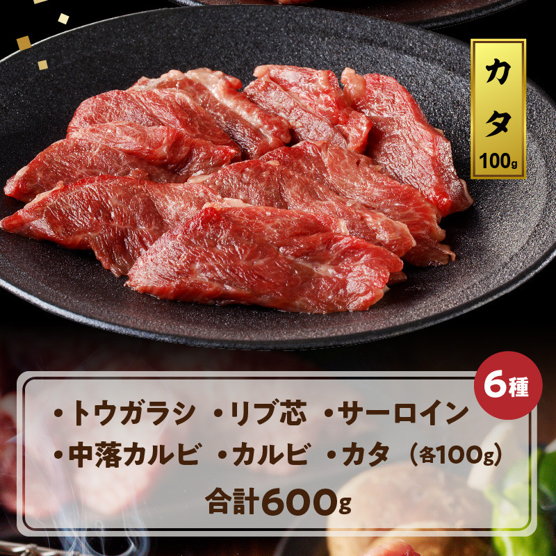 宮崎牛焼肉食べ比べ6種盛600g　N0140-YB328