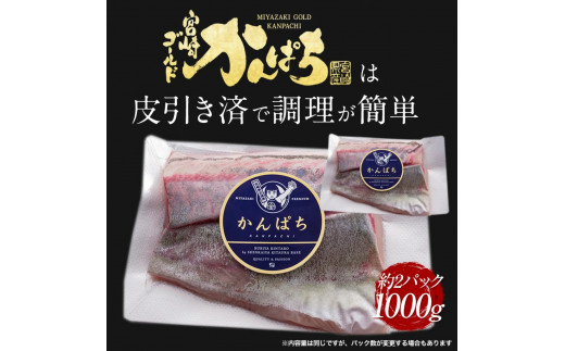 宮崎産 新海屋 鰤屋金太郎 宮崎ゴールドカンパチ 1000g　冷凍　N018-ZB315_2