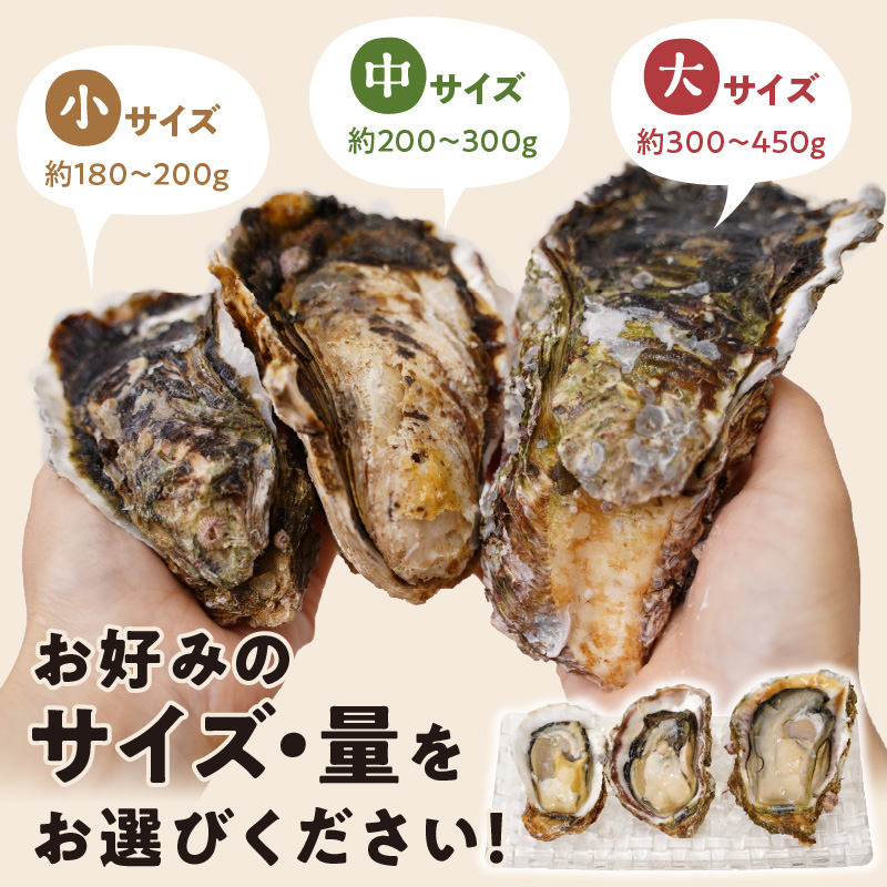 延岡産天然岩牡蠣（生食用）5kg（中）（2024年4月1日から発送開始）　N036-B306