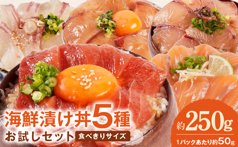 【冷凍】海鮮漬け丼5種お試しセット N019-YA192