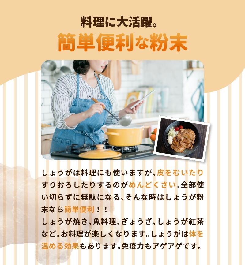 しょうが 粉末 N048-YA0494