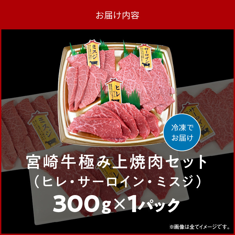 宮崎牛極み上焼肉セット 合計 300gN0140-YB086