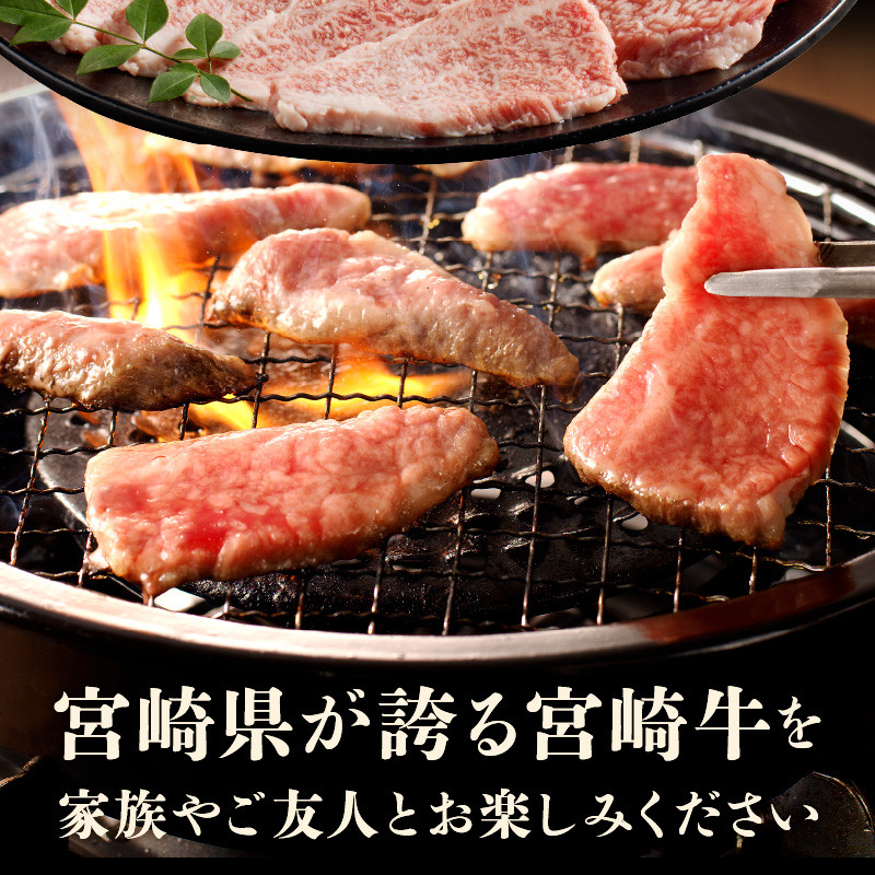 宮崎牛肩ロース焼肉400g N0140-YA2246