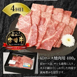 【6ヶ月定期便】宮崎牛と宮崎県産豚食べ比べ N0147-YG0247