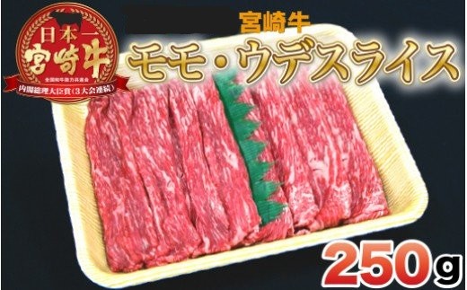 宮崎牛モモ・ウデスライス N023-YZA302